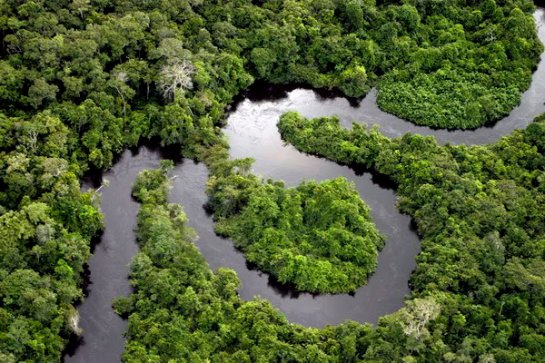 Бассейн Амазонки может исчезнуть