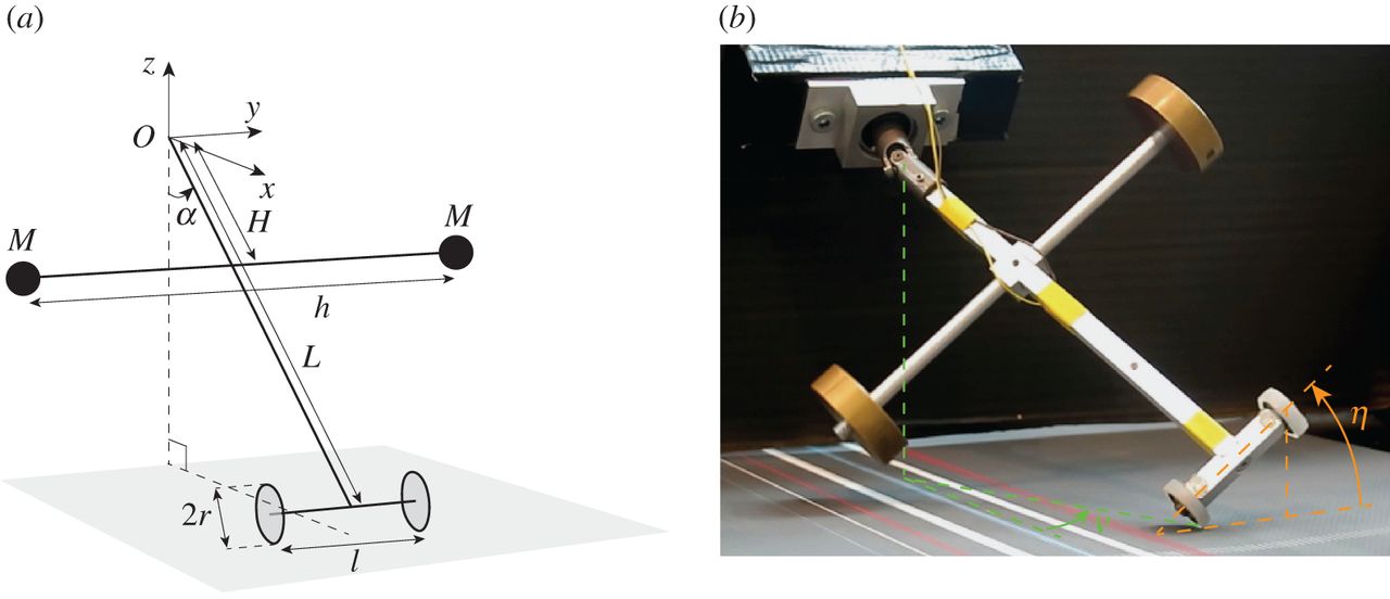 Физики объяснили, как успокоить чемодан на двух колёсиках, который раскачивается из стороны в сторону - 2 Физики объяснили, как успокоить чемодан на двух колёсиках, который раскачивается из стороны в сторону - 2