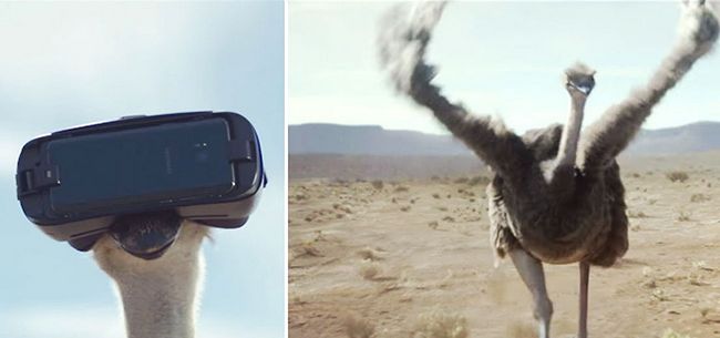 Samsung получила семь «Каннских львов» за рекламу Galaxy S8 и Gear VR