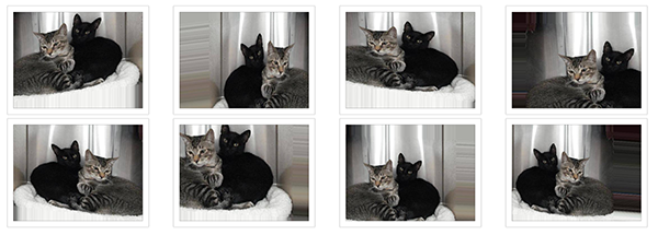 Как HBO делала приложение Not Hotdog для сериала «Кремниевая долина» - 5 Как HBO делала приложение Not Hotdog для сериала «Кремниевая долина» - 5