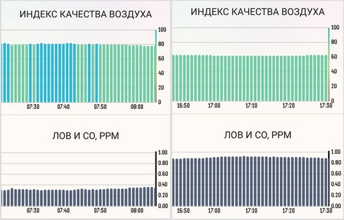 Мелисса и ДСП в газовой камере с Atmotube - 5