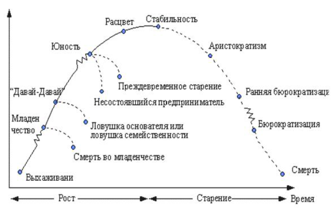 Процесс продажи компании - 2 image