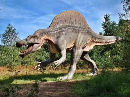 Ученые нашли следы древнего динозавра
