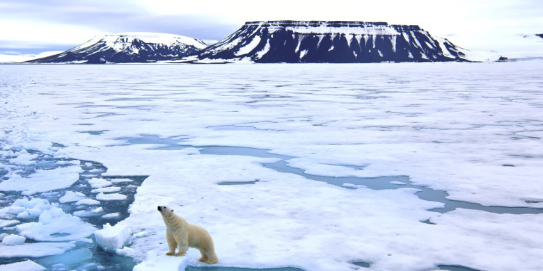 Во льдах Плавучего Континента: история исследования Арктики - 1