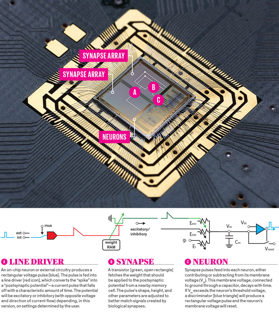 Мозг как компьютер: плохо справляется с математикой, и хорошо – со всем остальным - 2 image