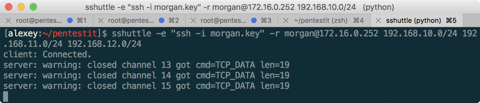 Пентест-лаборатория «Pentestit Test lab v.11» — полное прохождение - 34 Пентест-лаборатория «Pentestit Test lab v.11» — полное прохождение - 34