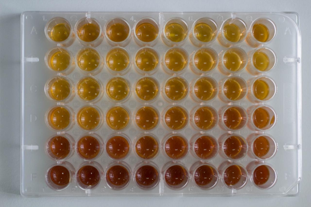 Как мы упоролись и откалибровали кофе-машину на спектрофотометре - 12