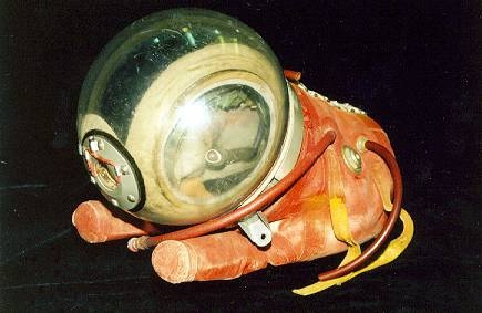 Редкие космические предметы из музейных коллекций - 9 image