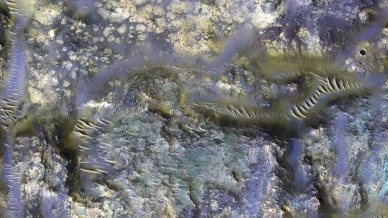 Астрономы НАСА обнаружили на Марсе разноцветных червей