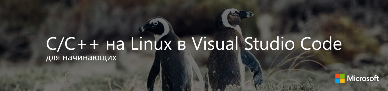 С-С++ на Linux в Visual Studio Code для начинающих - 1