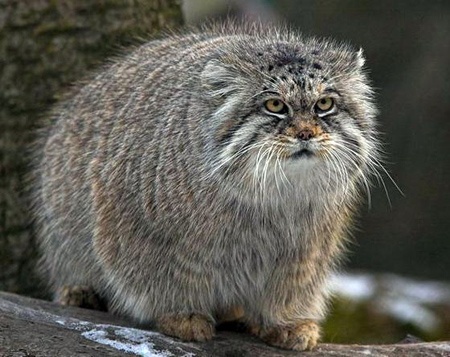 Жизнь разработчика на Кипре - 2 Жизнь разработчика на Кипре - 2