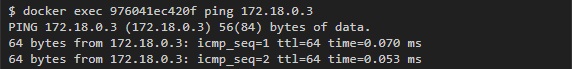 docker exec ping