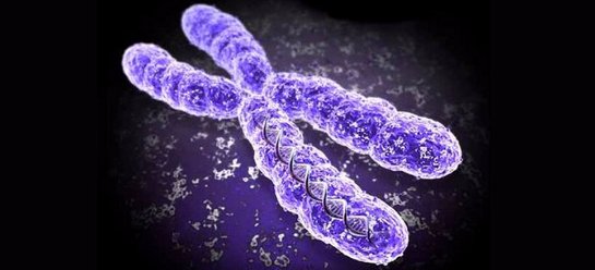 На основе анализа слюны ученые заявили, что в прошлом человек скрещивался с неизвестным существом На основе анализа слюны ученые заявили, что в прошлом человек скрещивался с неизвестным существом