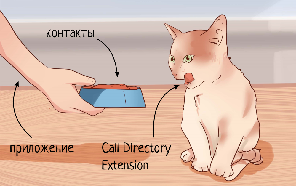 Определяем номера с помощью CallKit - 5