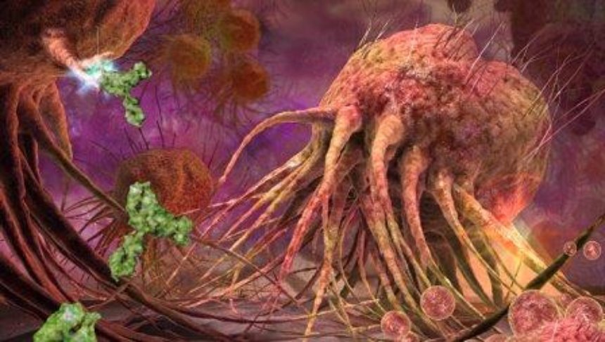 Прорыв в медицине: необычное антитело уничтожает рак