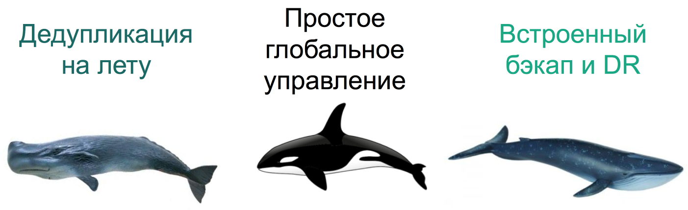 БИТ-пикник глоток лета и полезной информации - 11 БИТ-пикник глоток лета и полезной информации - 11