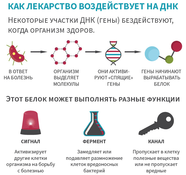 Что делают химики и биологи в ЕРАМ? - 3