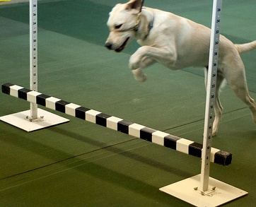 Пиратство и четыре валюты: Pay What You Want и Free-to-Play - 7 Пиратство и четыре валюты: Pay What You Want и Free-to-Play - 7