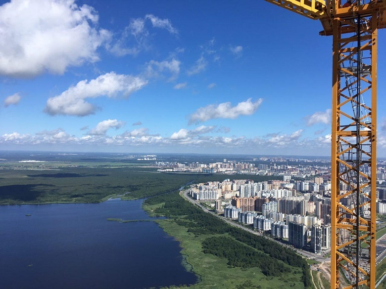 Будут ли птицы атаковать небоскреб и другие вопросы воздушного общежития. Часть 1 - 24 image