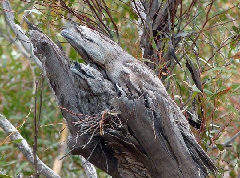 Будут ли птицы атаковать небоскреб и другие вопросы воздушного общежития. Часть 1 - 8 image