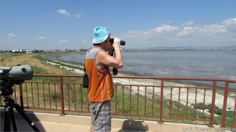 Будут ли птицы атаковать небоскреб и другие вопросы воздушного общежития. Часть 1 - 9 image