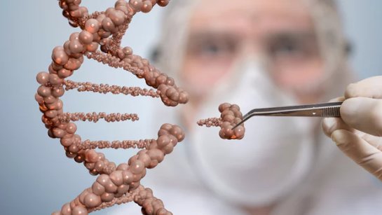 С помощью обработанного CRISPR кожнного трансплантата можно будет лечить людей
