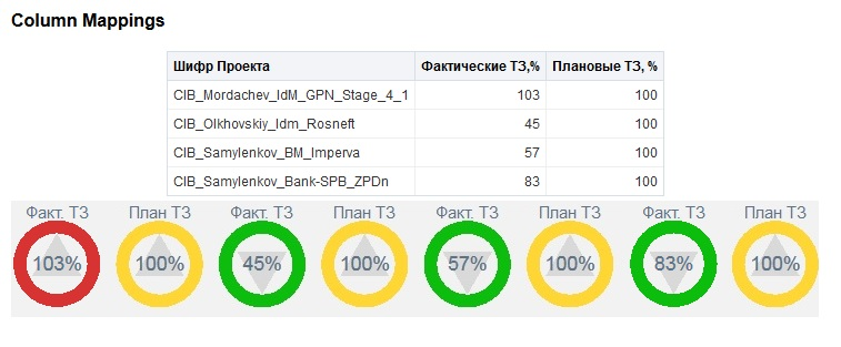 Visual Plugin Pack в OBIEE: с чем его едят и как готовят - 12