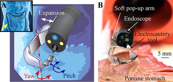 В Гарварде создали мягкий роботизированный манипулятор для эндоскопической хирургии - 2