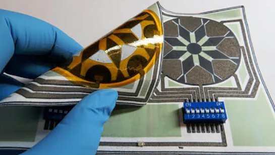 Вынайдена бумажная батарея, которая подпитывается бактериями