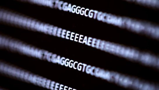 Компьютер можно сломать с помощью синтетической ДНК, — результаты исследования