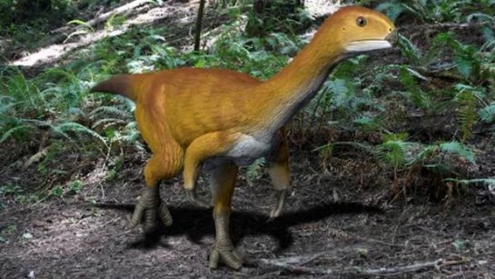 Динозавр Chilesaurus заполняет разрыв между хищниками и жертвами