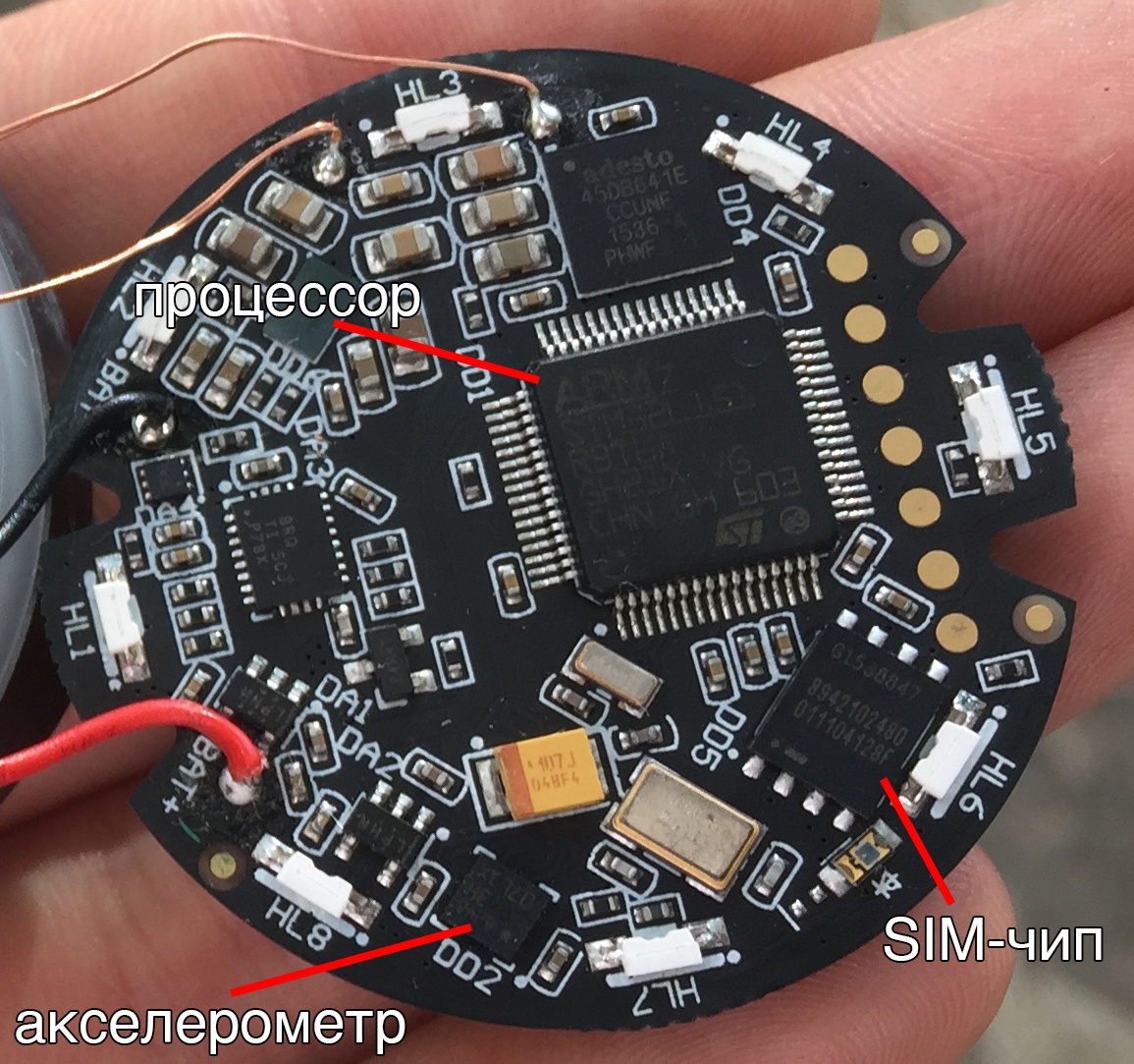 Кастомная GPS-антенна, SIM-чип, процессор и 8Мб памяти: из чего сделан умный собачий ошейник Mishiko - 7
