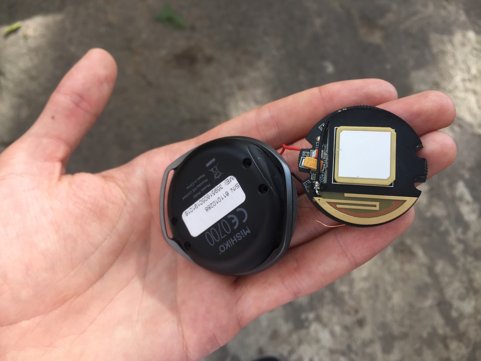 Кастомная GPS-антенна, SIM-чип, процессор и 8Мб памяти: из чего сделан умный собачий ошейник Mishiko - 8