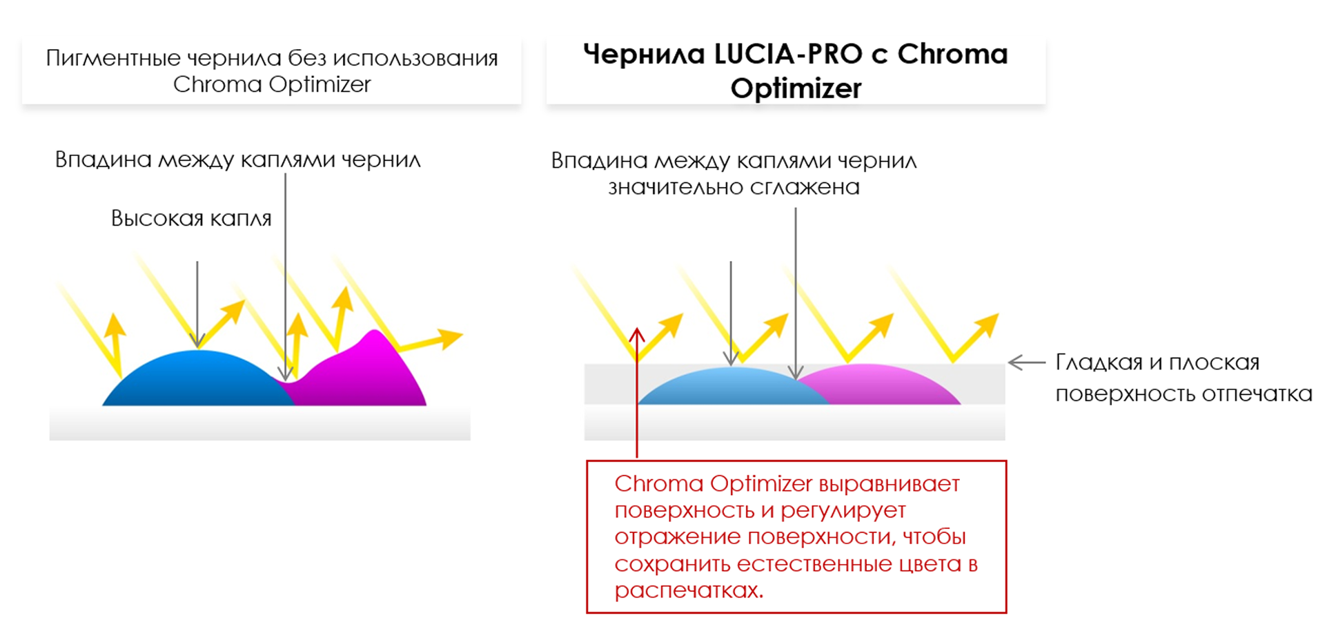 Тонкая красная линия: обзор широкоформатного принтера Canon imagePROGRAF PRO-2000 - 5