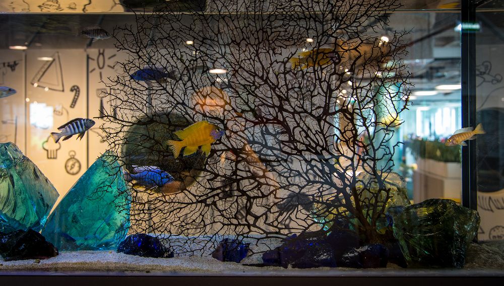 Офис Avito: work hard, play hard - 28 Офис Avito: work hard, play hard - 28