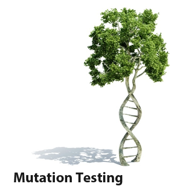Мутационное тестирование - 1
