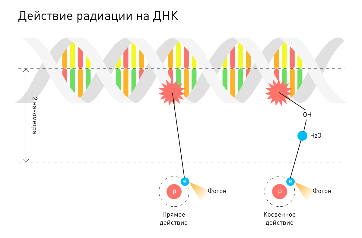 Что за болезнь: рак. История лечения - 5