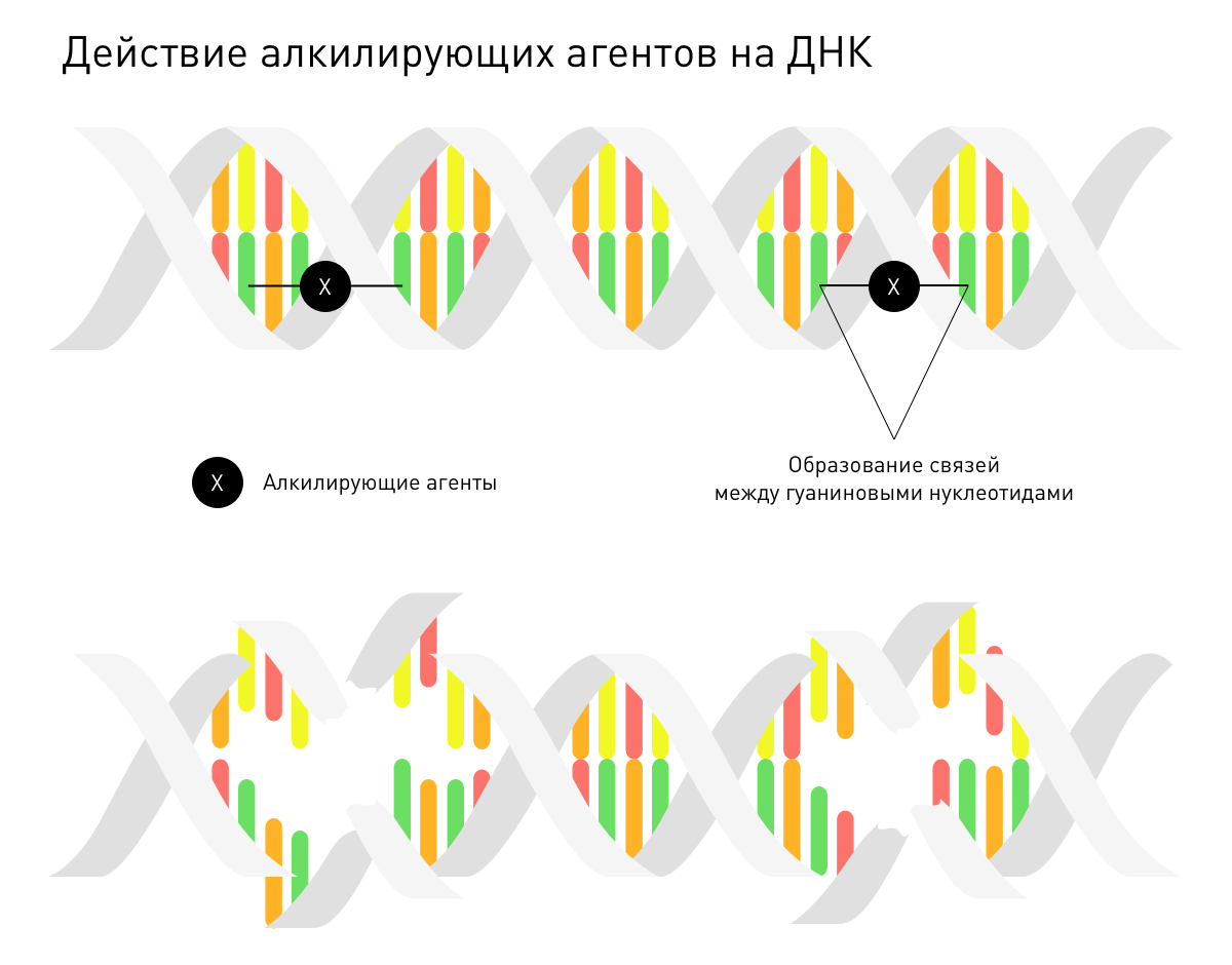 Что за болезнь: рак. История лечения - 6