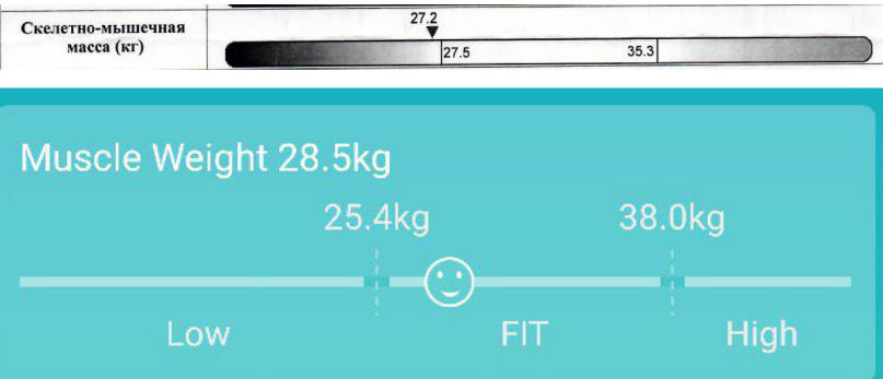 Весы-анализатор MGB Body fat scale — сравнительный «клинический» тест в ЦКБ РЖД - 5