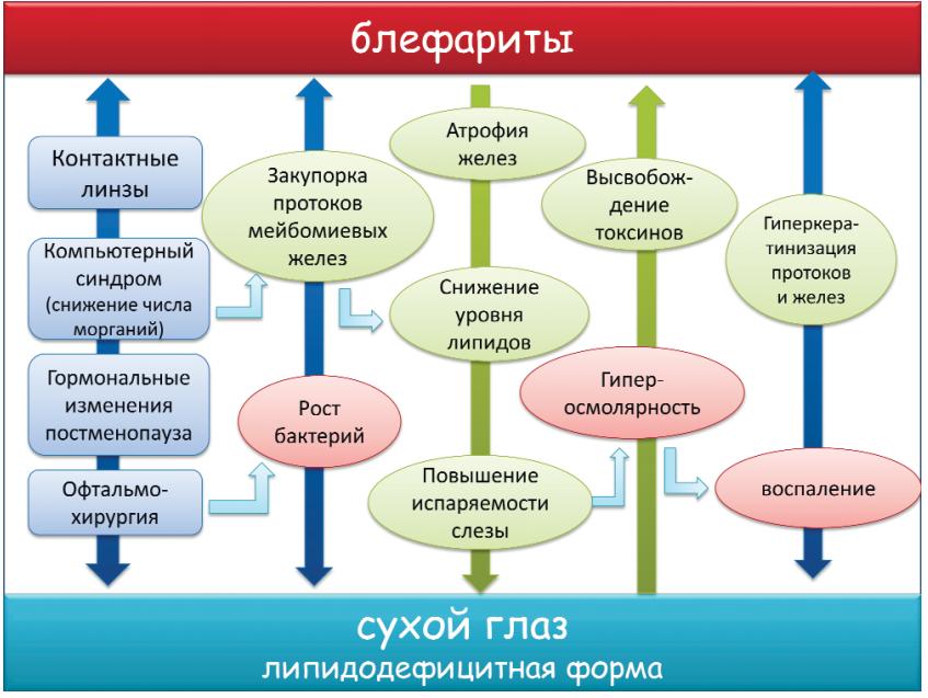 Синдром сухого глаза как частный случай дистрофических процессов (ВМД) и его друг — компьютер - 1