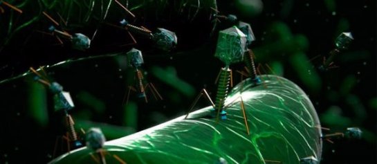 Новосибирские специалисты создадут аналог антибиотиков, который будет более безопасный Новосибирские специалисты создадут аналог антибиотиков, который будет более безопасный