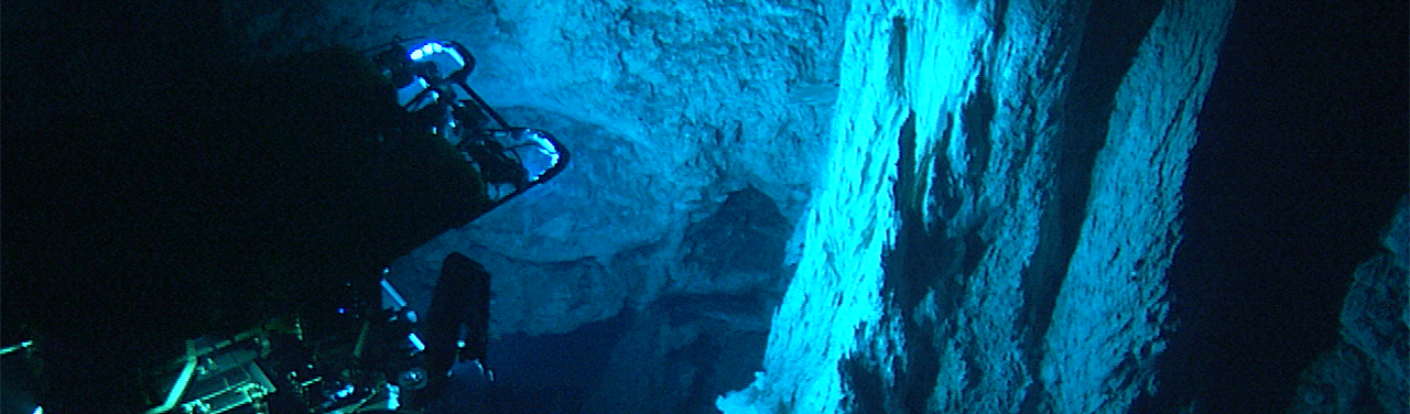 Муха в первобытном супе - 1 image