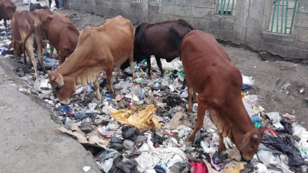 Использование пластиковых пакетов в Кении приравняли к уголовному преступлению - 2