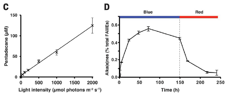 Найден фотофермент, который преобразует жирные кислоты в углеводороды под воздействием света - 3