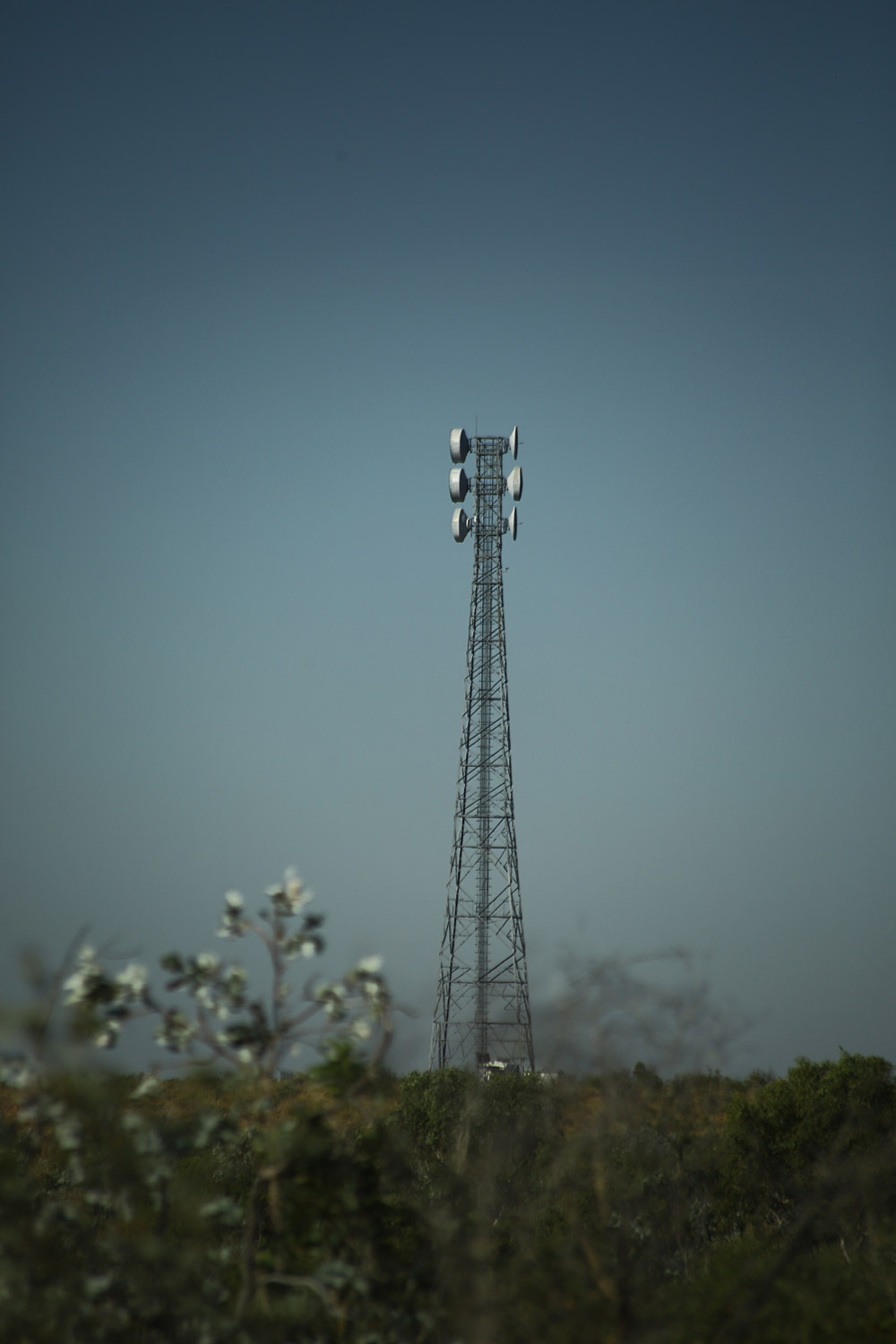 Австралия: небольшая реколонизация Земли - 23