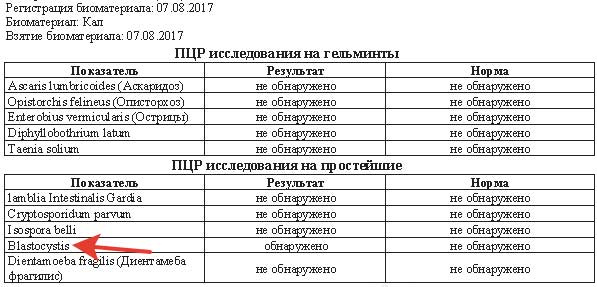 Life extension, part 0.1 — Здоровье мозга и тела в долгосрочной перспективе - 9