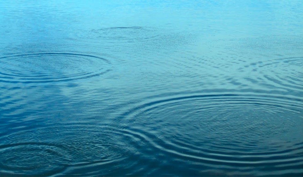 Кто, кроме битка: ещё девять криптовалют, на которые можно обратить внимание - 6 Кто, кроме битка: ещё девять криптовалют, на которые можно обратить внимание - 6