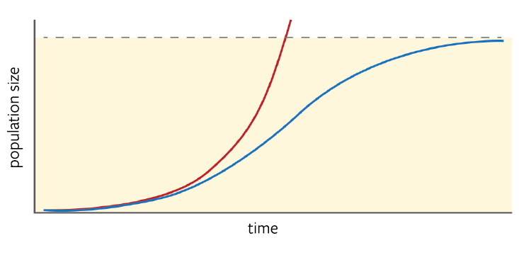 Наступит ли когда-нибудь перенаселение нашей планеты - 4 image